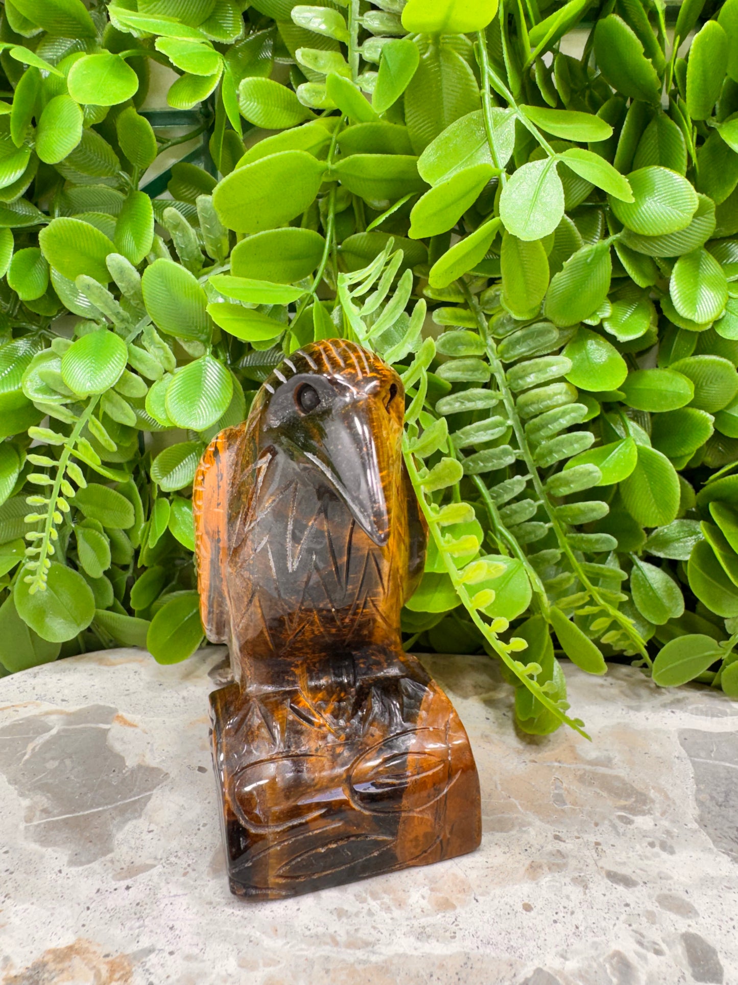 Tigers Eye Raven 746g