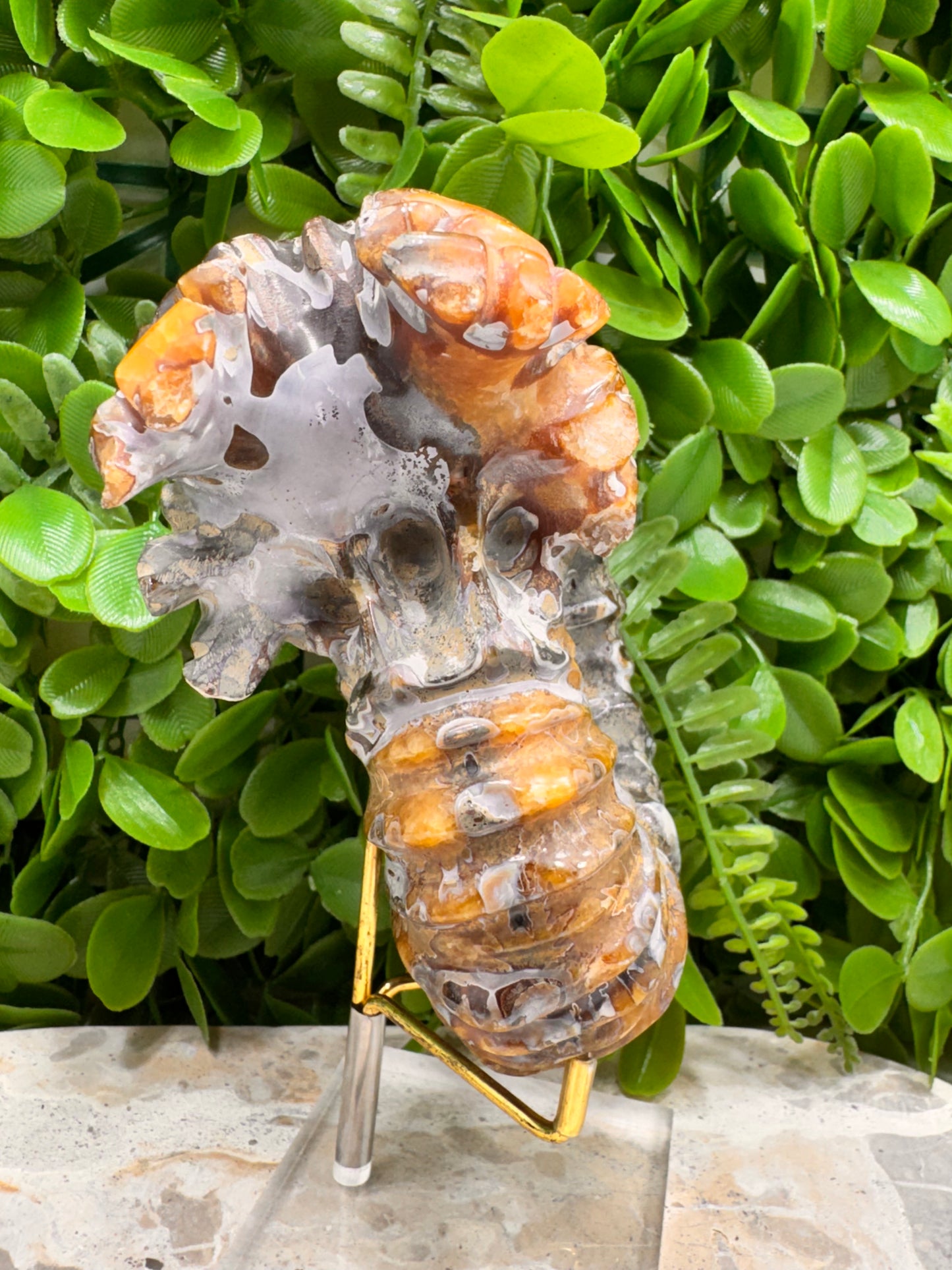Ammonite Fossil 886g