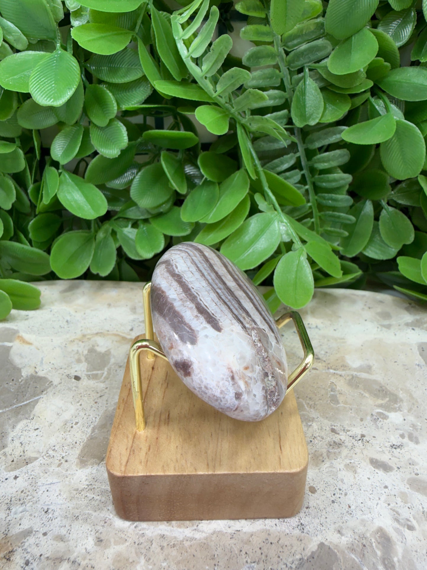 Chocolate Aragonite Palm Stone 64g