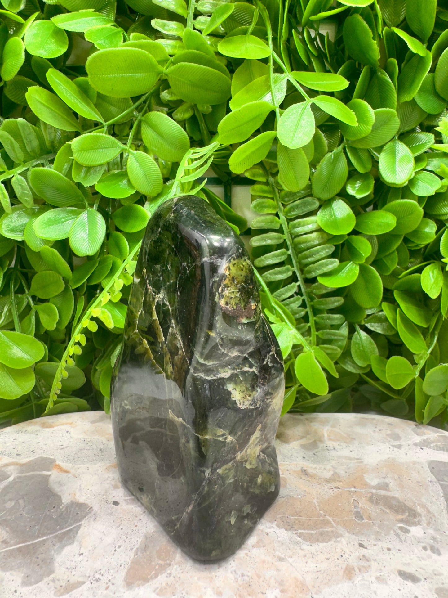 Nephrite Jade Freeform 644g