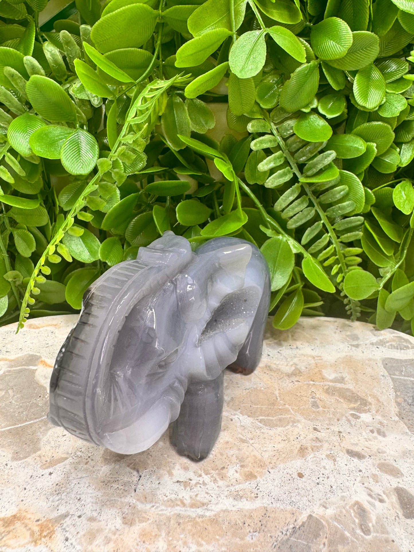 Drusy Agate Elephant 373g