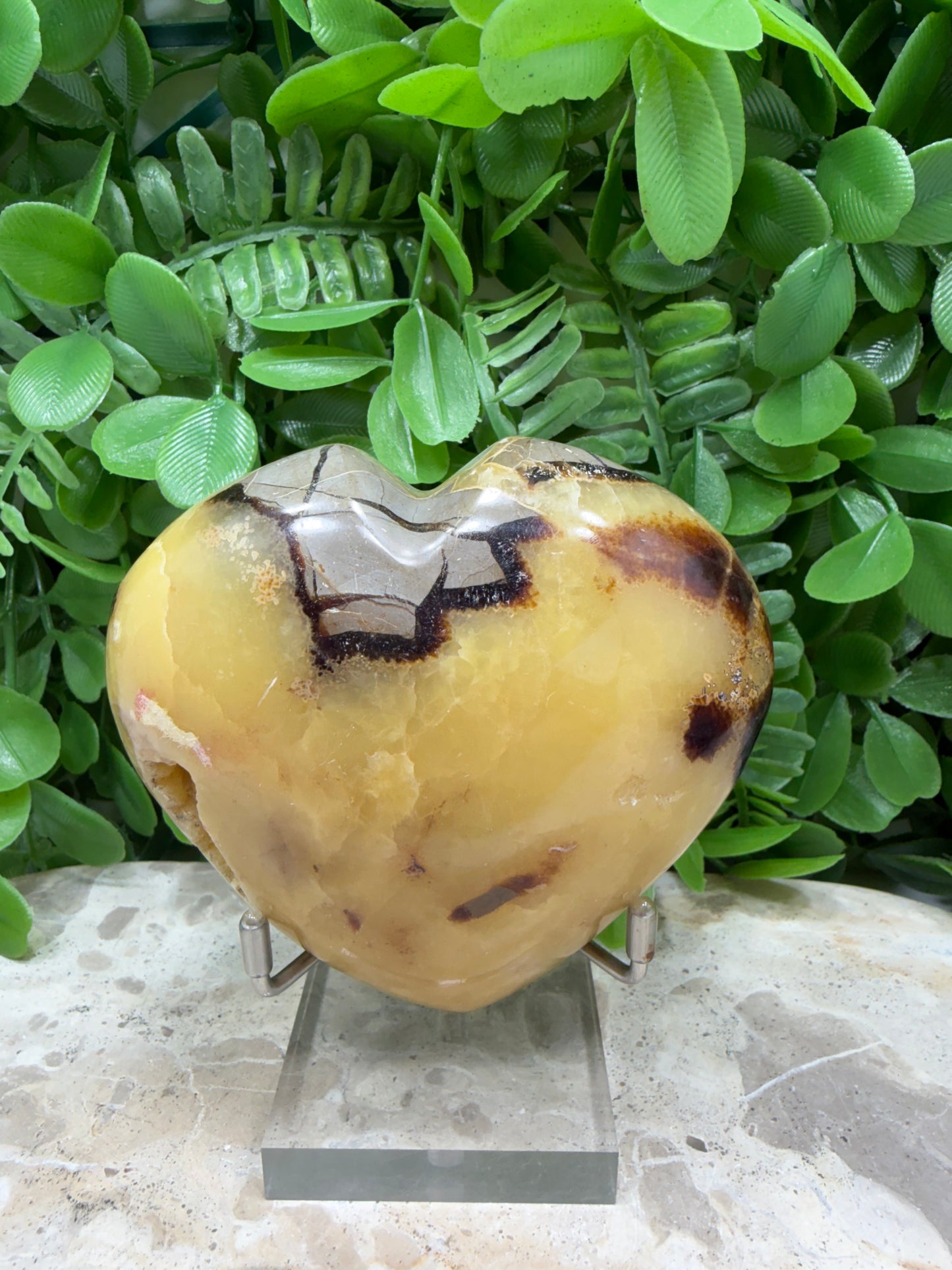 Septarian Dragon Stone 382g