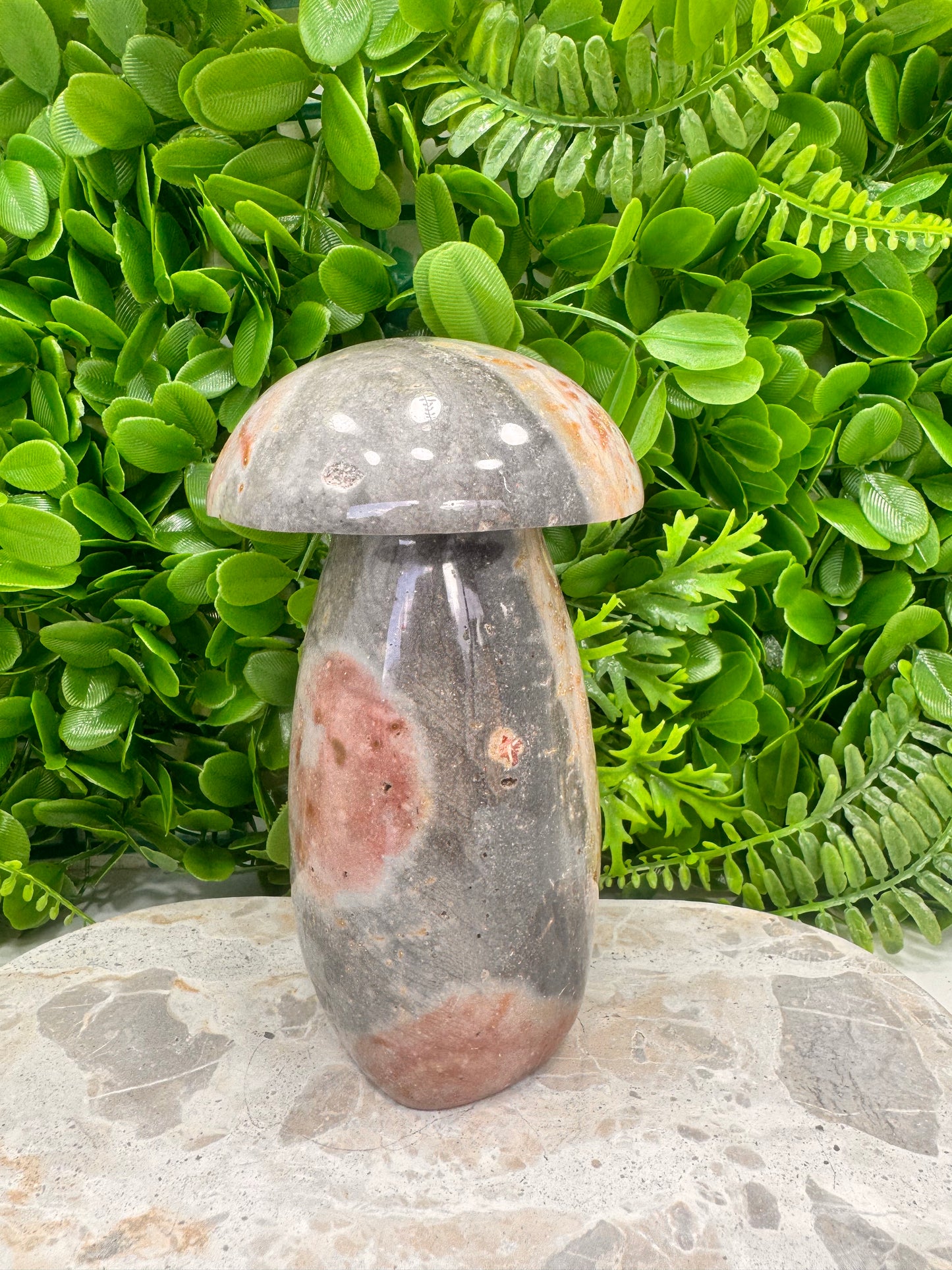 Ocean Jasper Mushroom 1.6kg