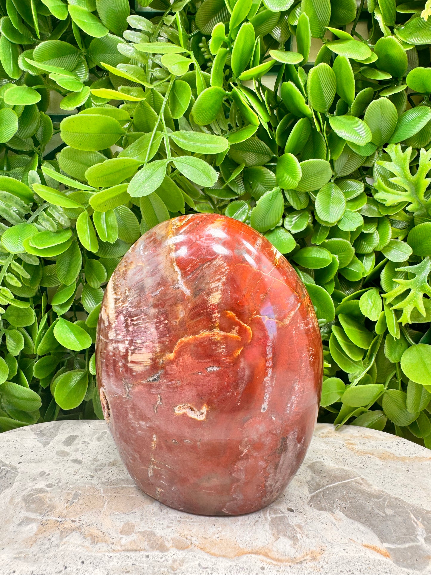 Petrified Wood Freeform 1028g