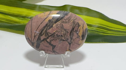 Zebra Jasper  Palm 82g