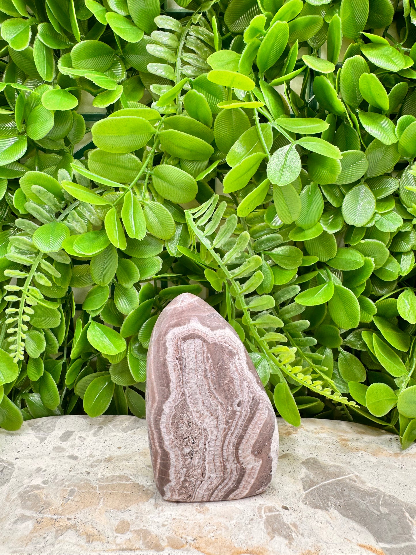 Chocolate Aragonite Freeform 166g
