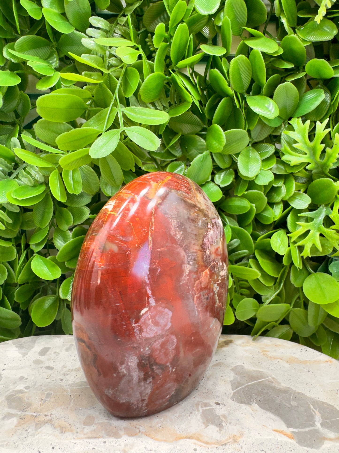 Petrified Wood Freeform 1028g