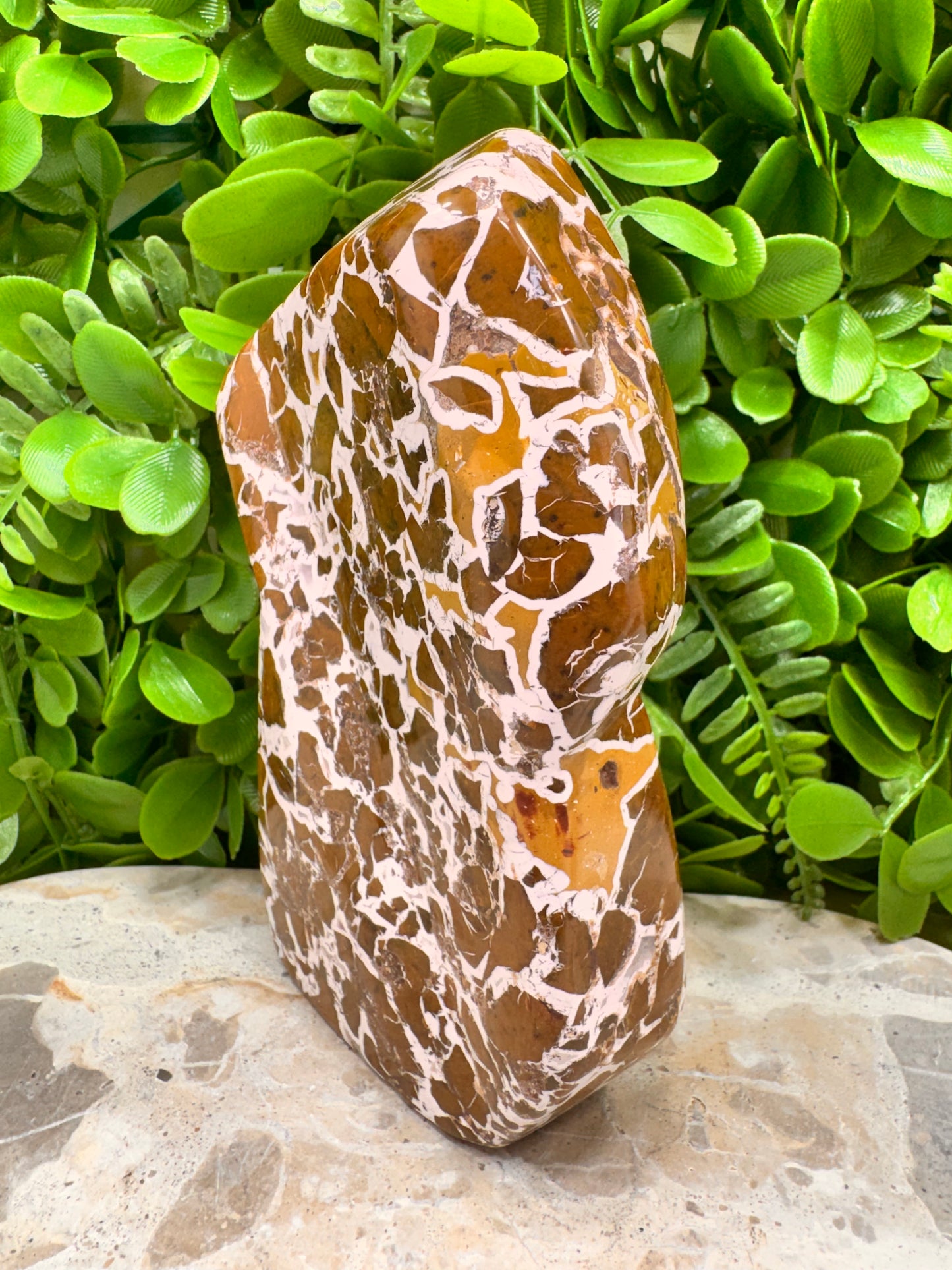 Jasper Agate Freeform 780g