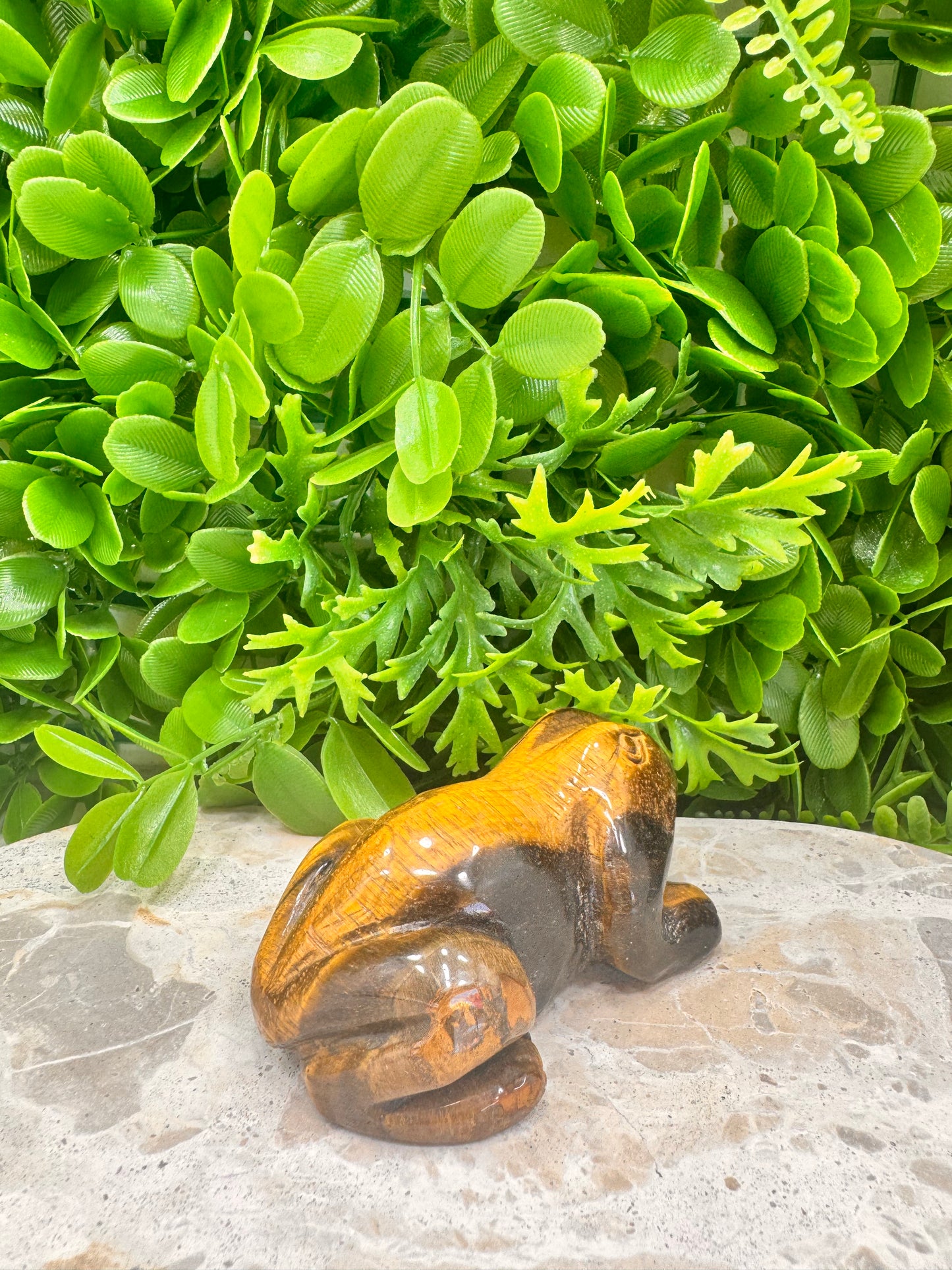 Tiger Eye Frog 260g