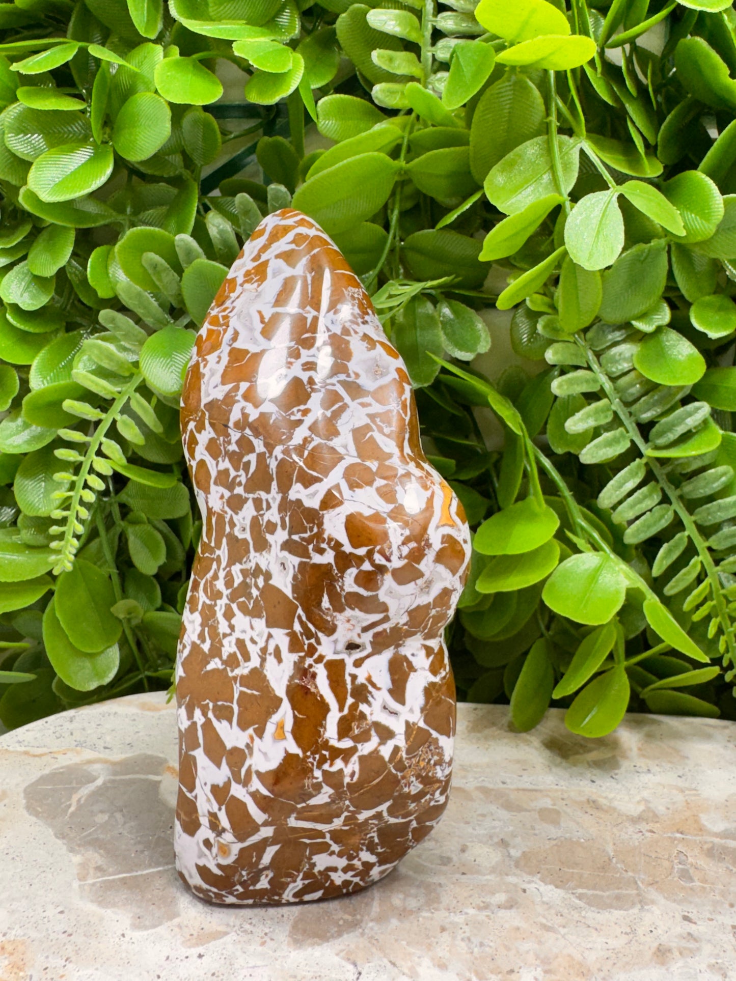 Jasper Agate Freeform 494g