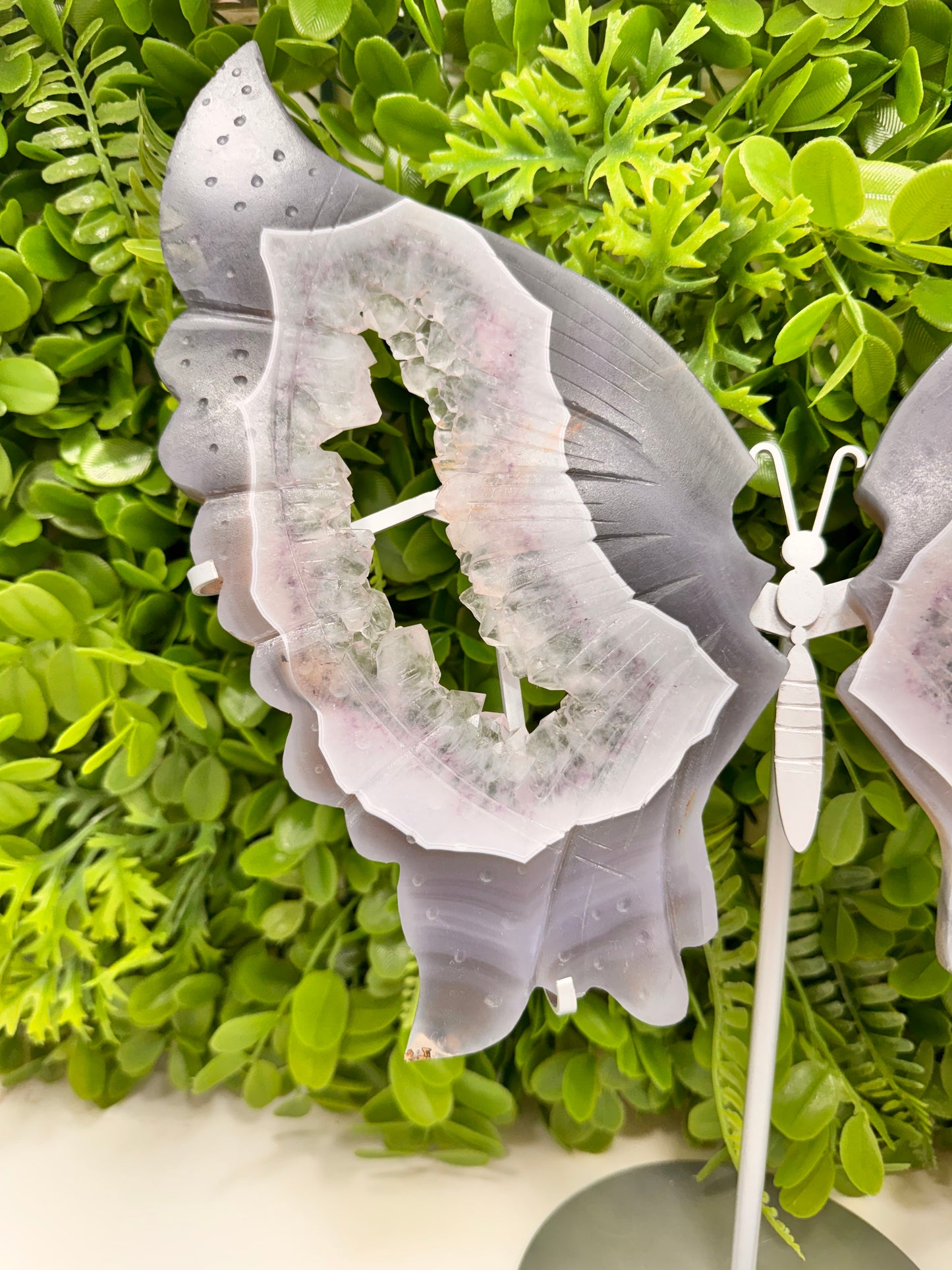 Amethyst Druzy Agate Butterfly Wings 1772g