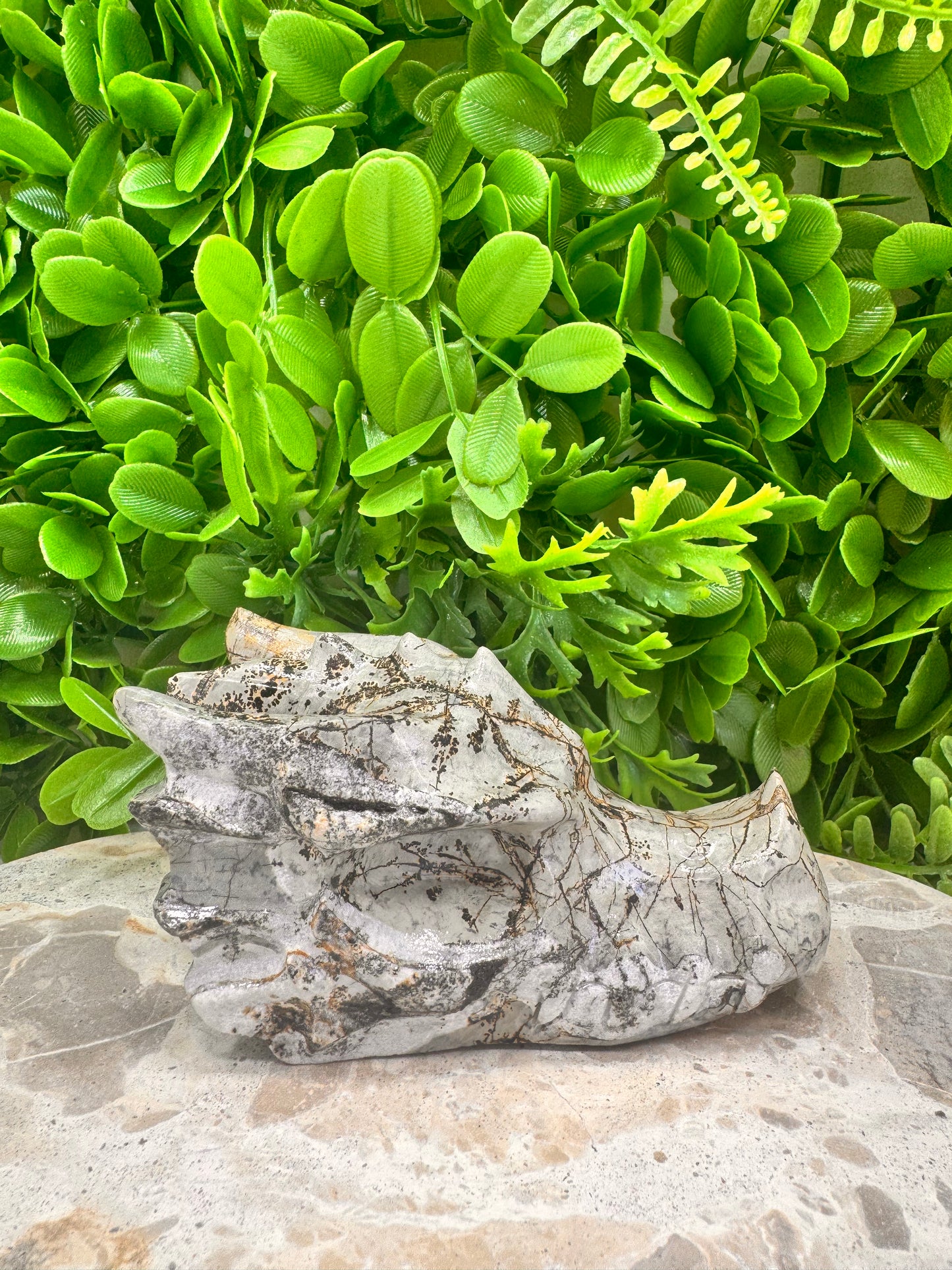 Picture Jasper Dragon Skull 530g