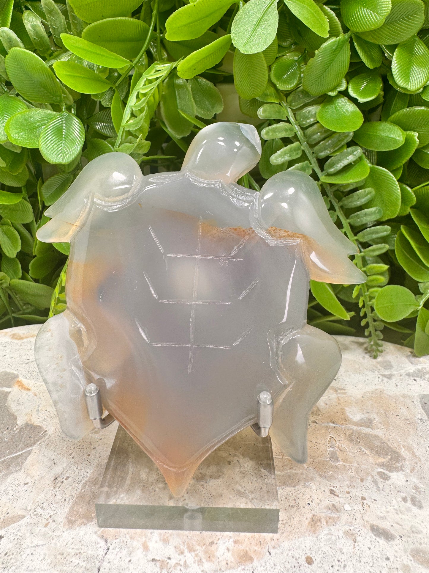 Druzy Agate Turtle 172g