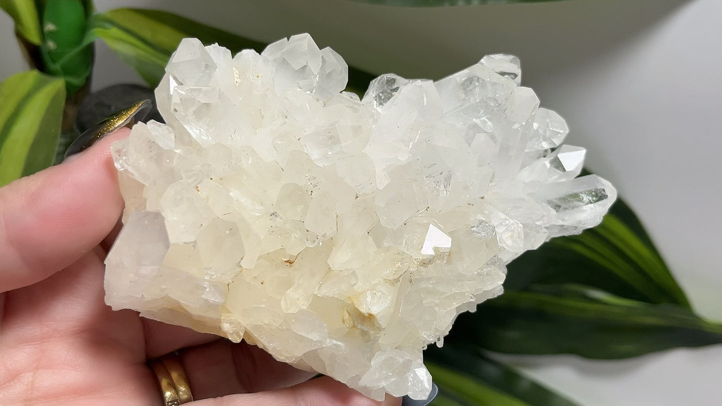 Clear Quartz Cluster 266g