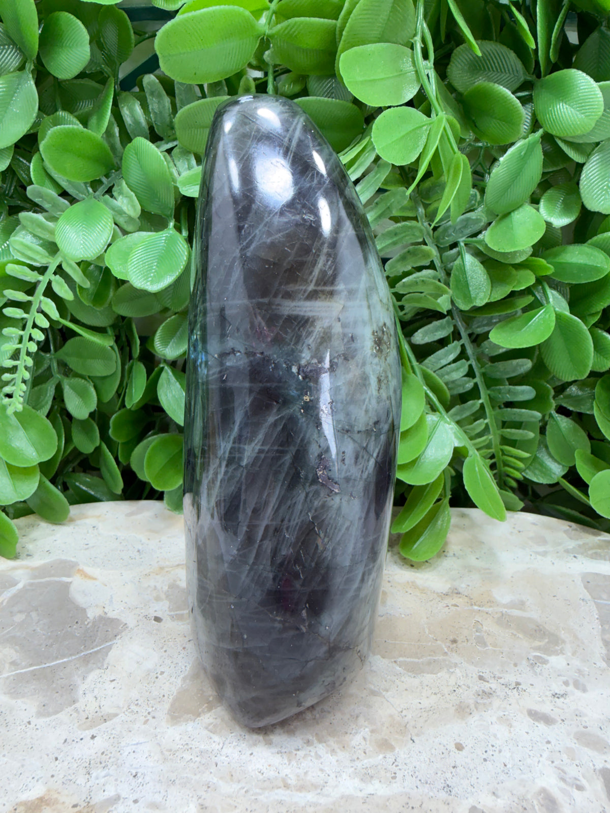 Labradorite Freeform | Protection • Intuition • Transformation
