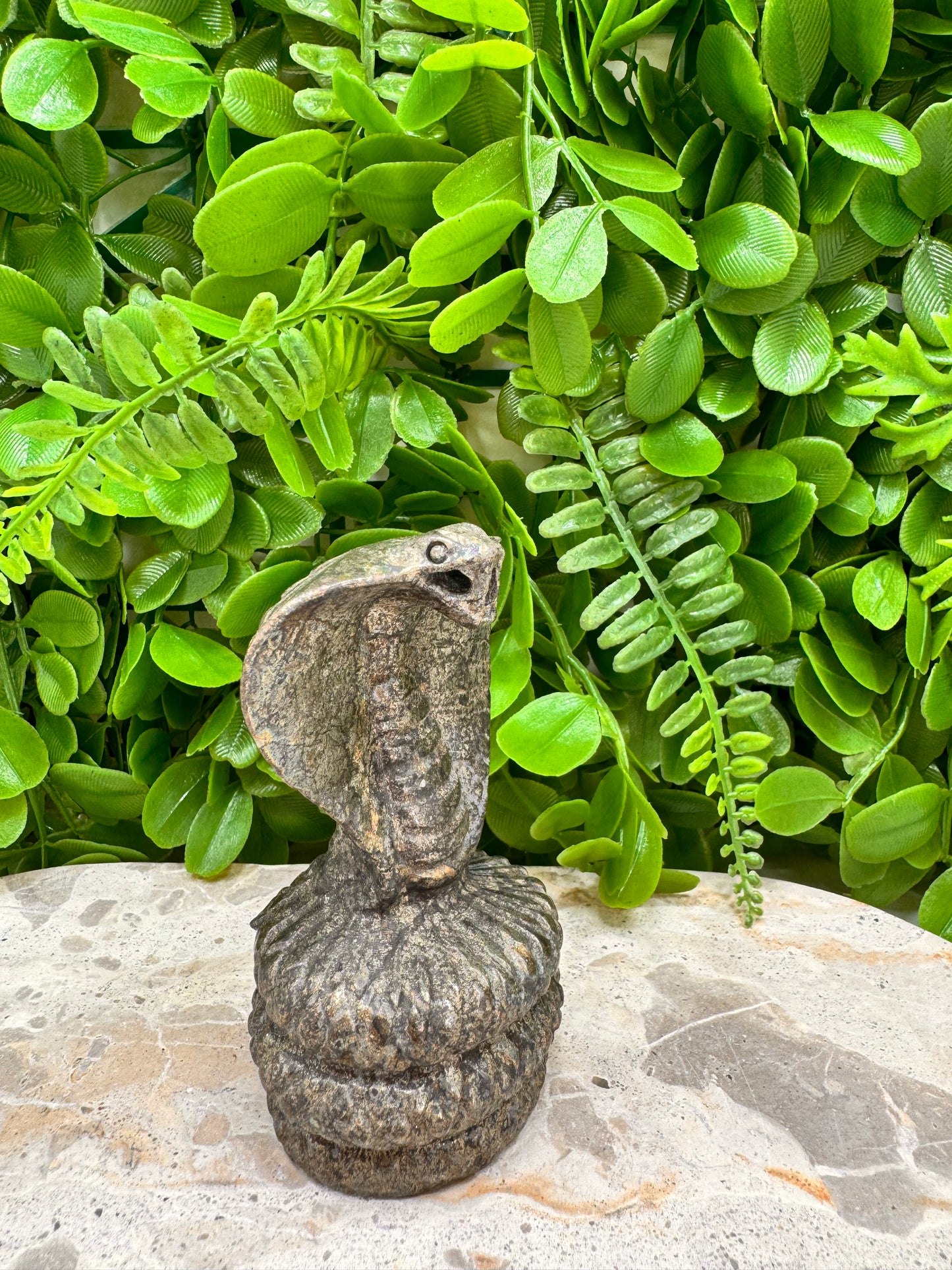 Pyrite Cobra 418g