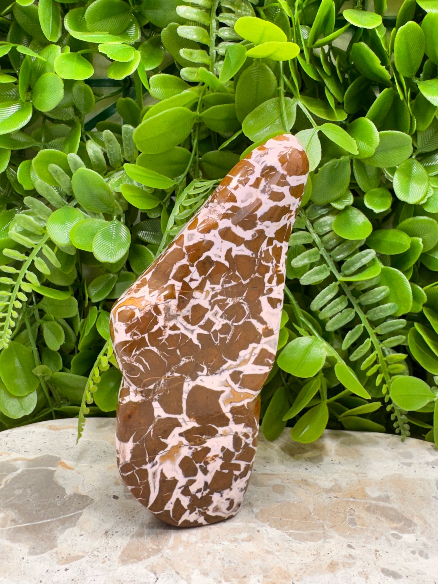 Jasper Agate Freeform 494g