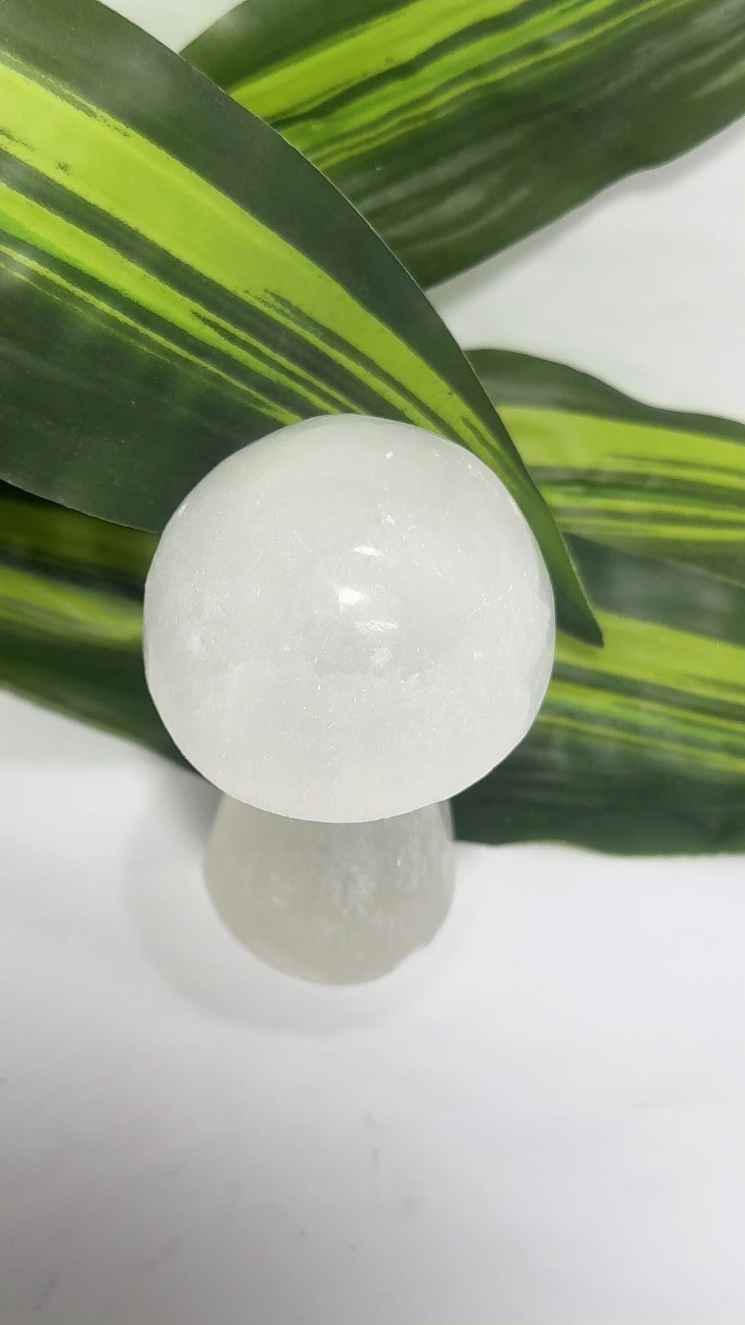 Selenite Mushrooms app 260g