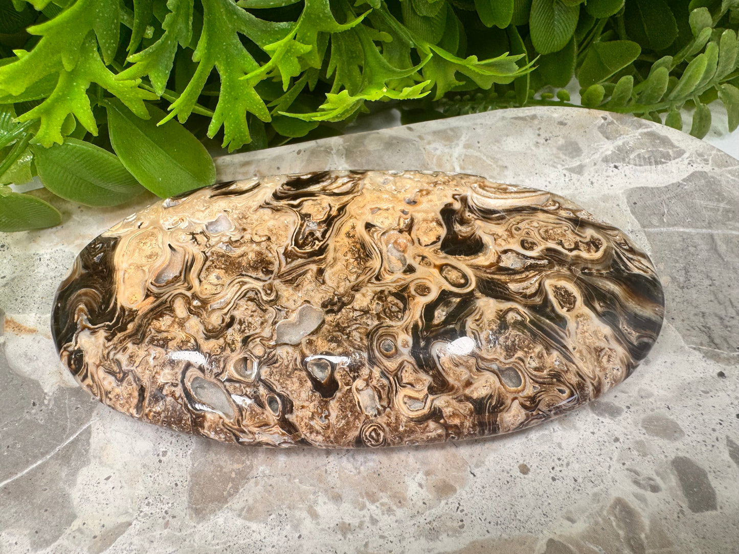 Chocolate Calcite Palm Stone  260g