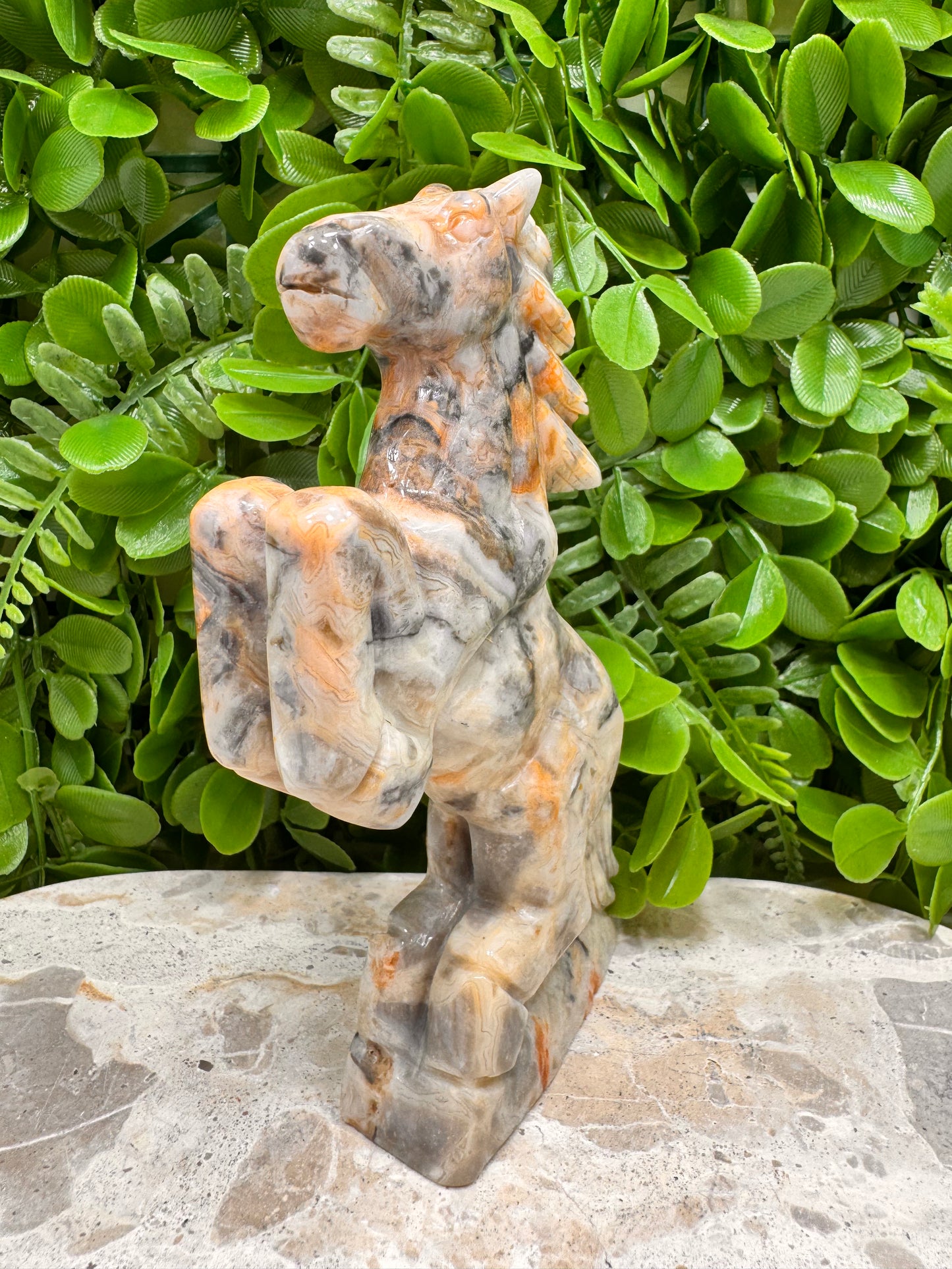 Crazy Lace Agate Horse 410g