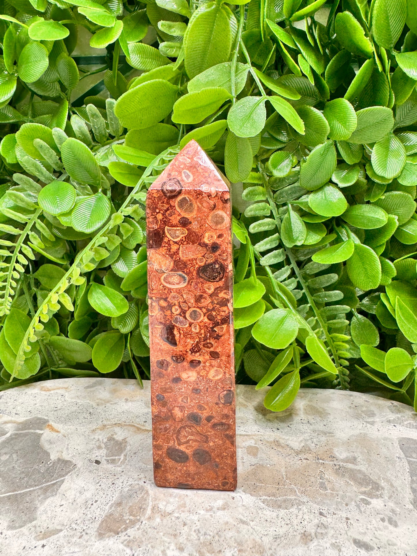 Coral Fossil Jasper Tower 236g