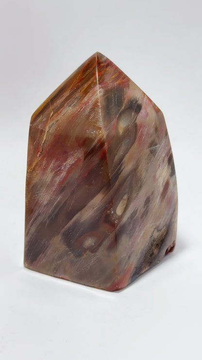 Petrified Wood tower 648G