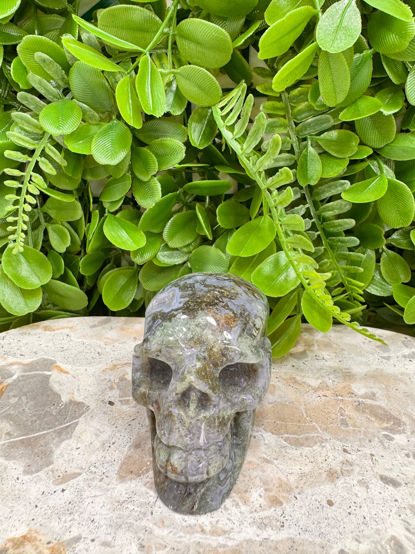 Moss Agate Druzy Skull 268g