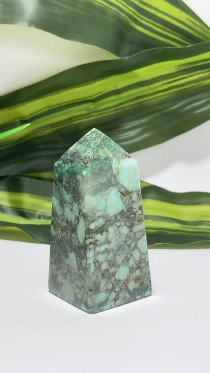 Turquoise Pt 142g