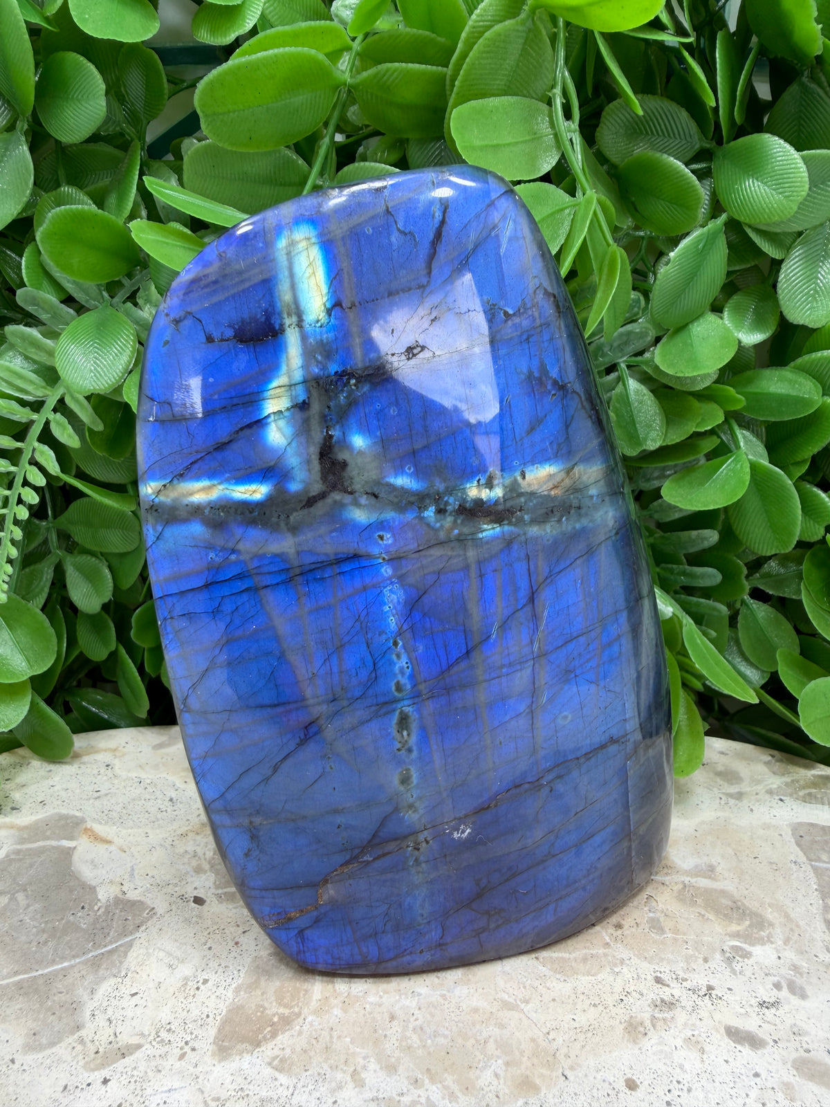 Labradorite Freeform | Protection • Intuition • Transformation