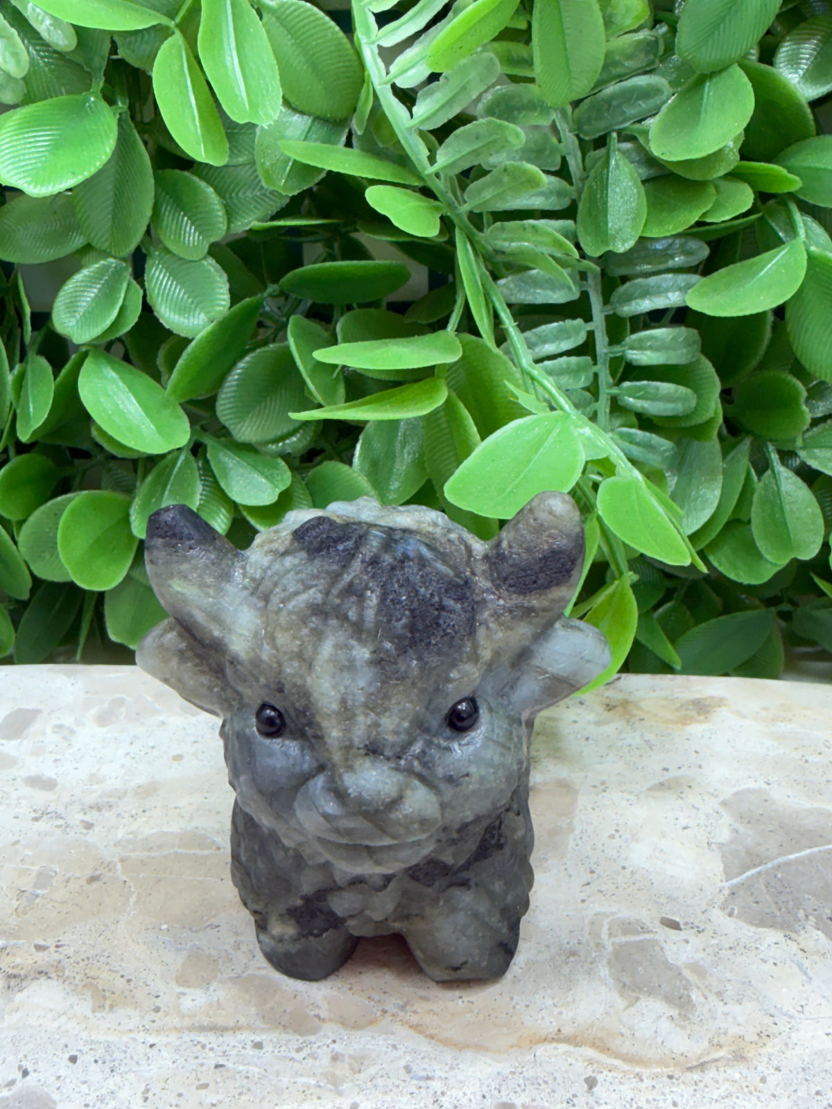 Labradorite Highland Cow 274g | Protection • Intuition • Transformation