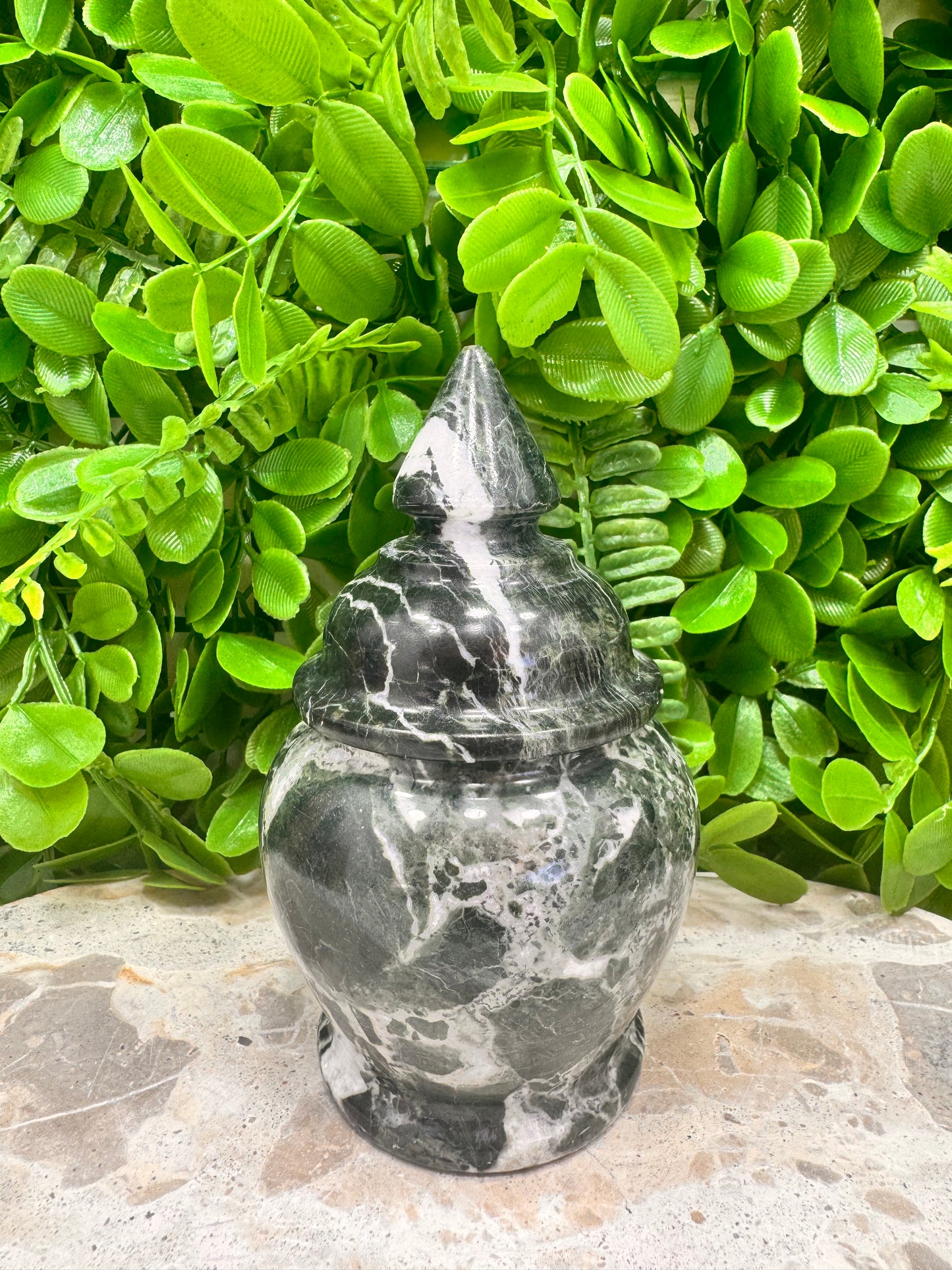 Black Zebra Serpentine Urn 446g