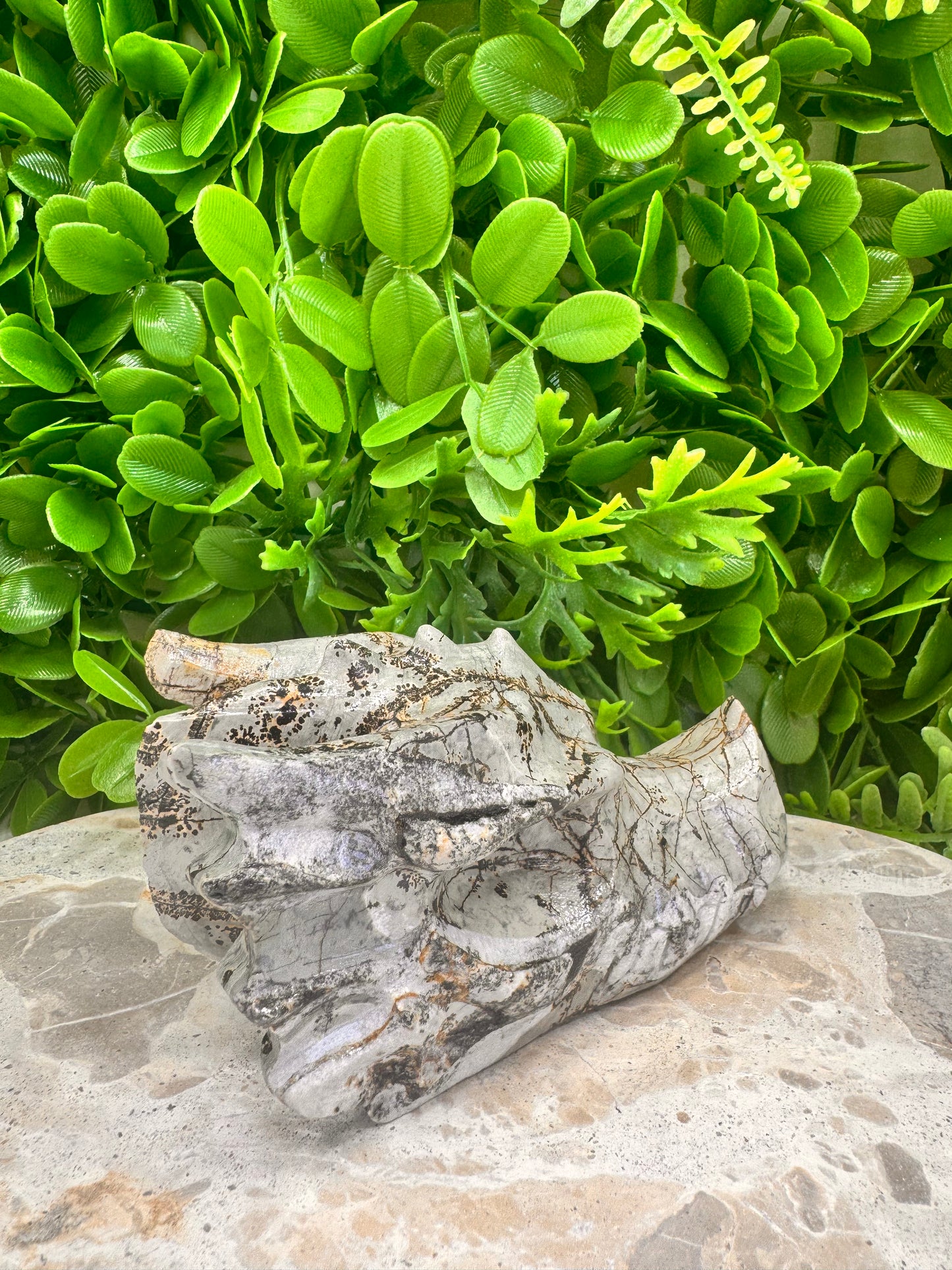 Picture Jasper Dragon Skull 530g
