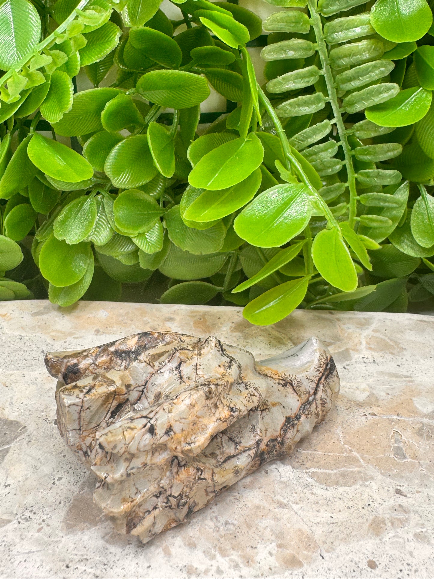 Picture Jasper Dragon Skull 118g