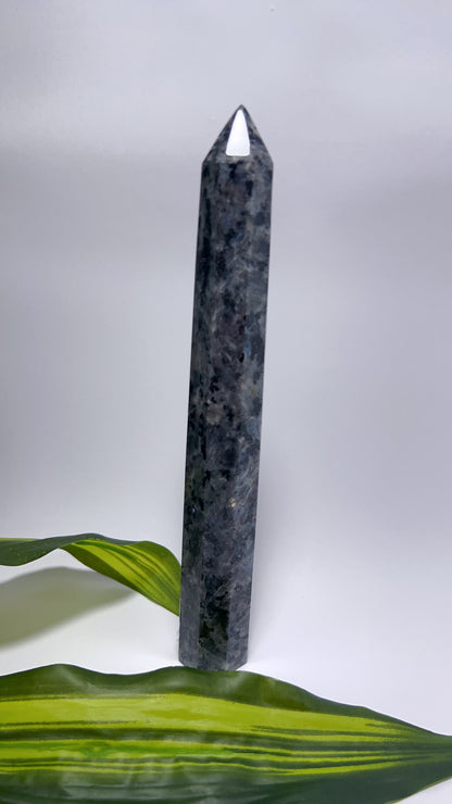 Larvikite Tower 320g