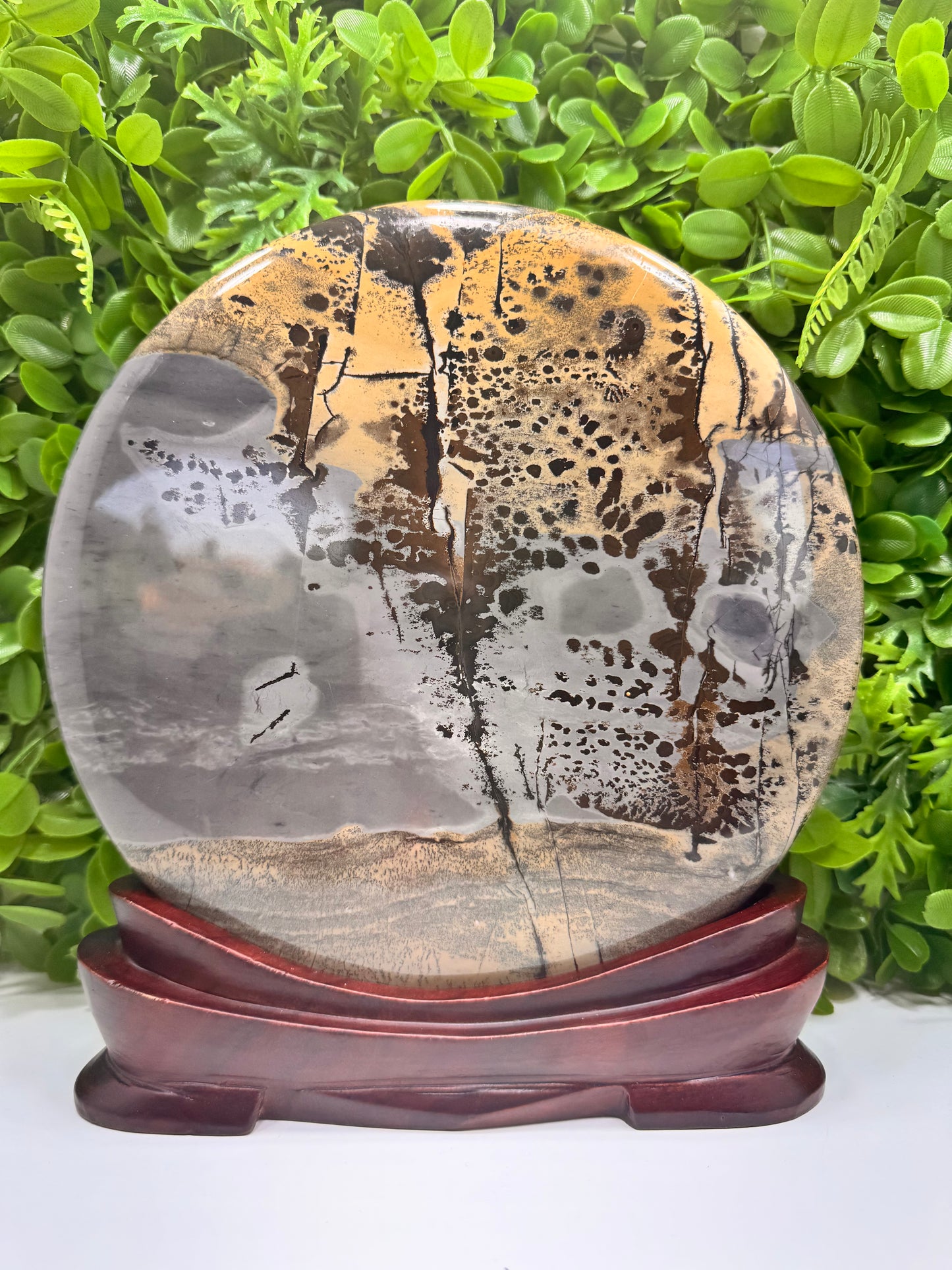 Picture Jasper in Frame 3452g