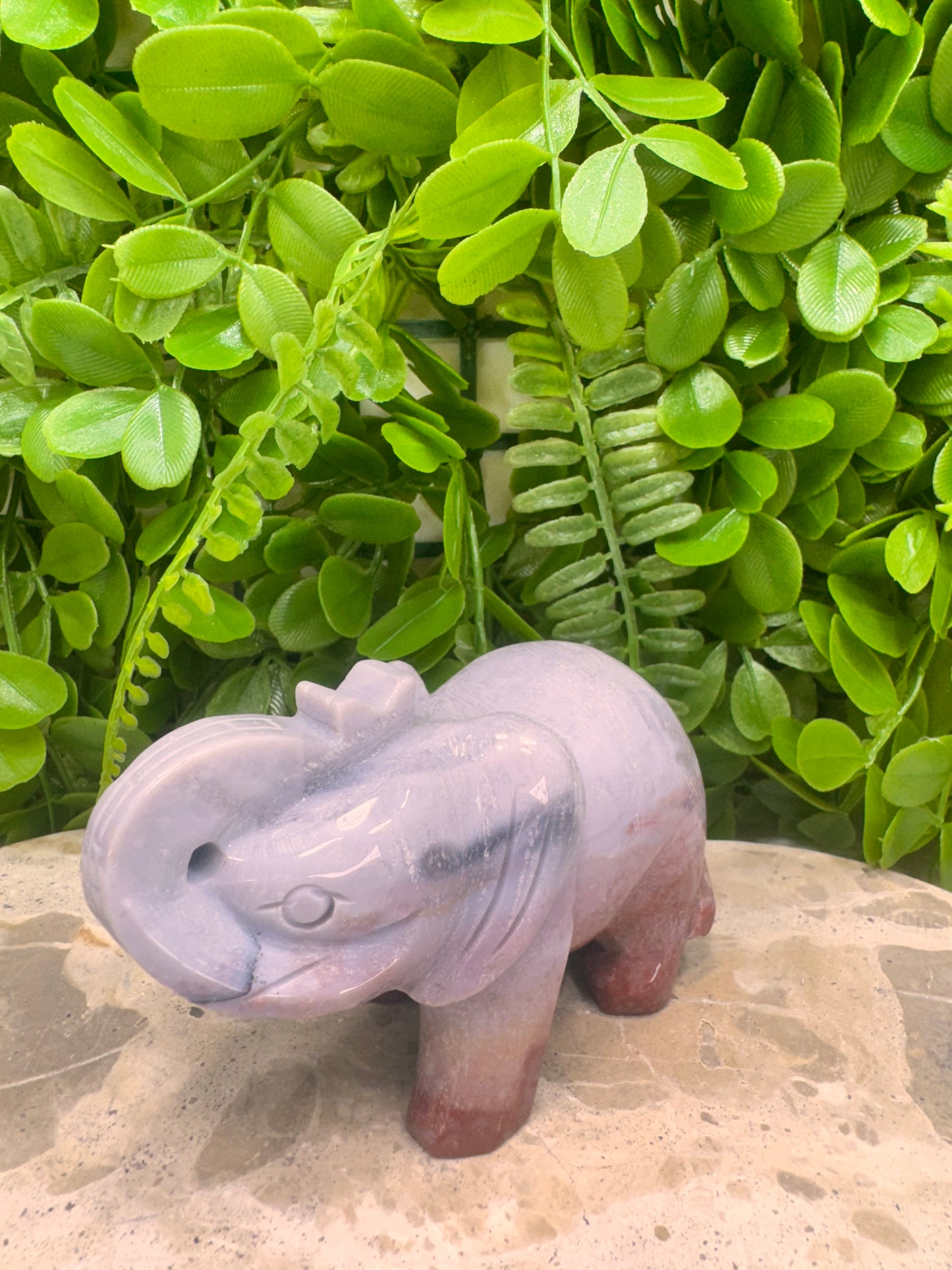 Ocean Jasper Elephant 442g