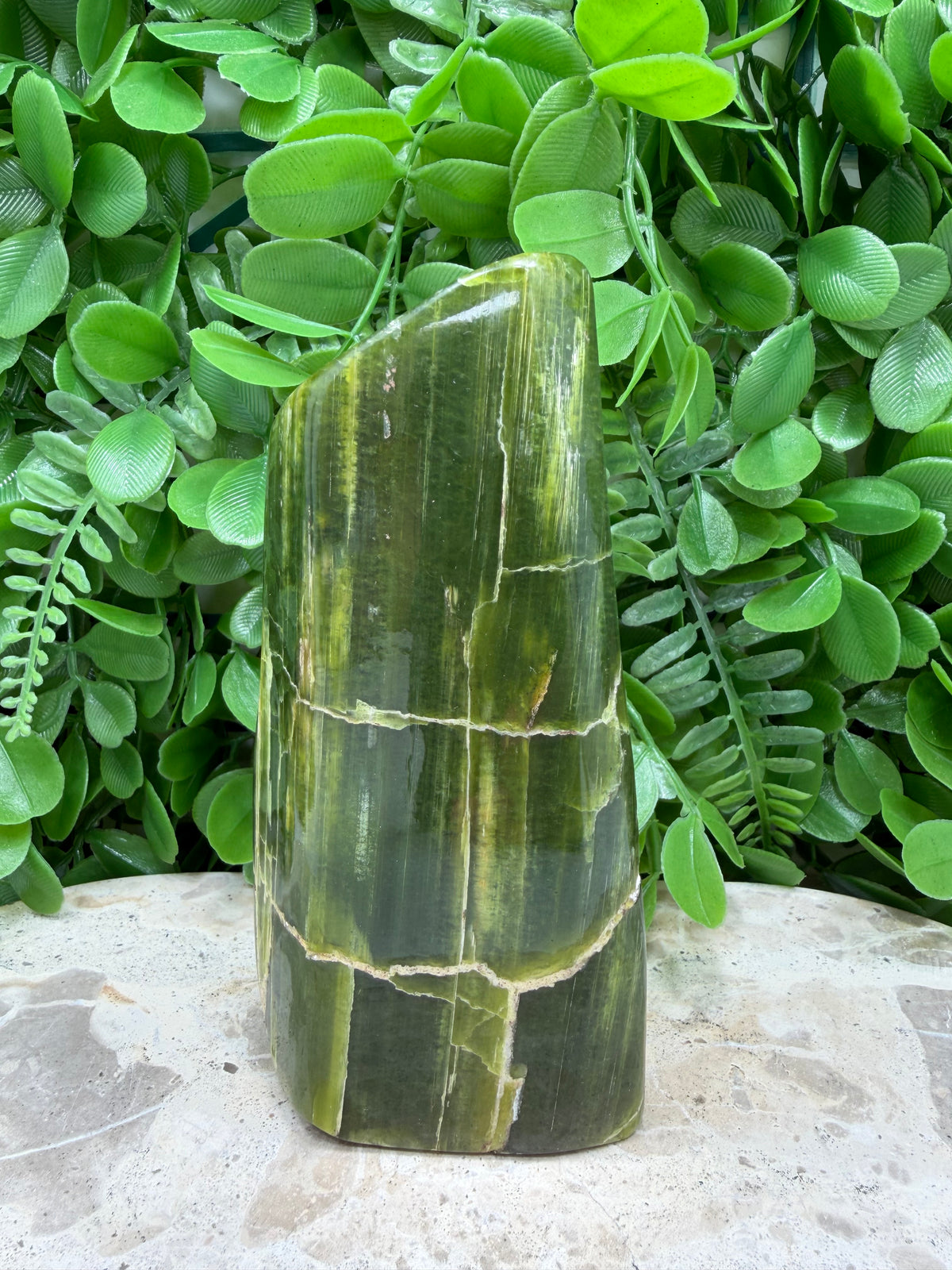 Tremolite Freeform | Calm • Balance • Spiritual Growth
