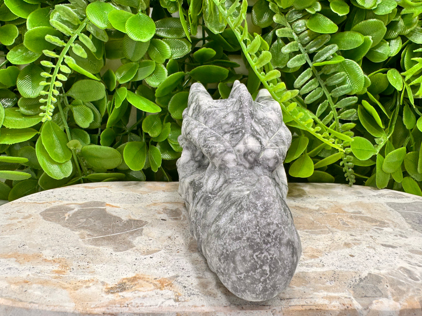 Fossil Dragon Skull 516g