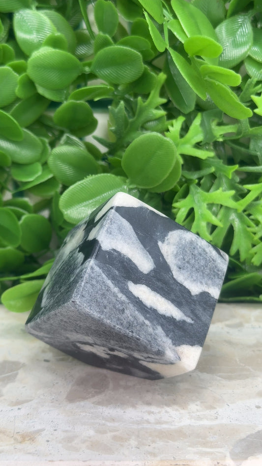 Shell Jasper Cube 322g