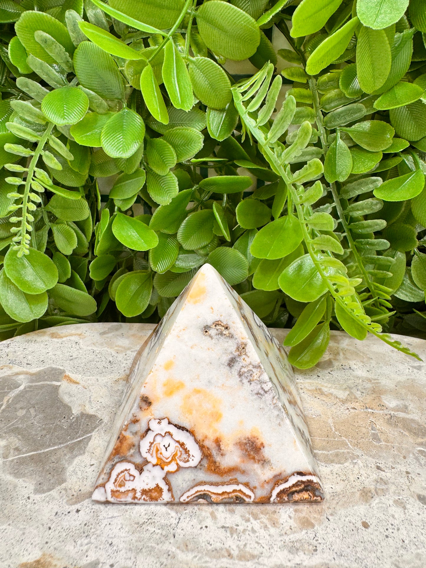 Dendritic Ocean Root Jasper Pyramid 290g