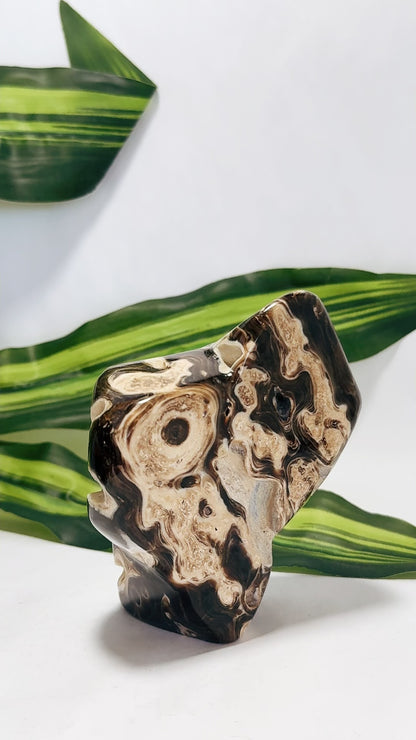 Chocolate Calcite Freeform 484g