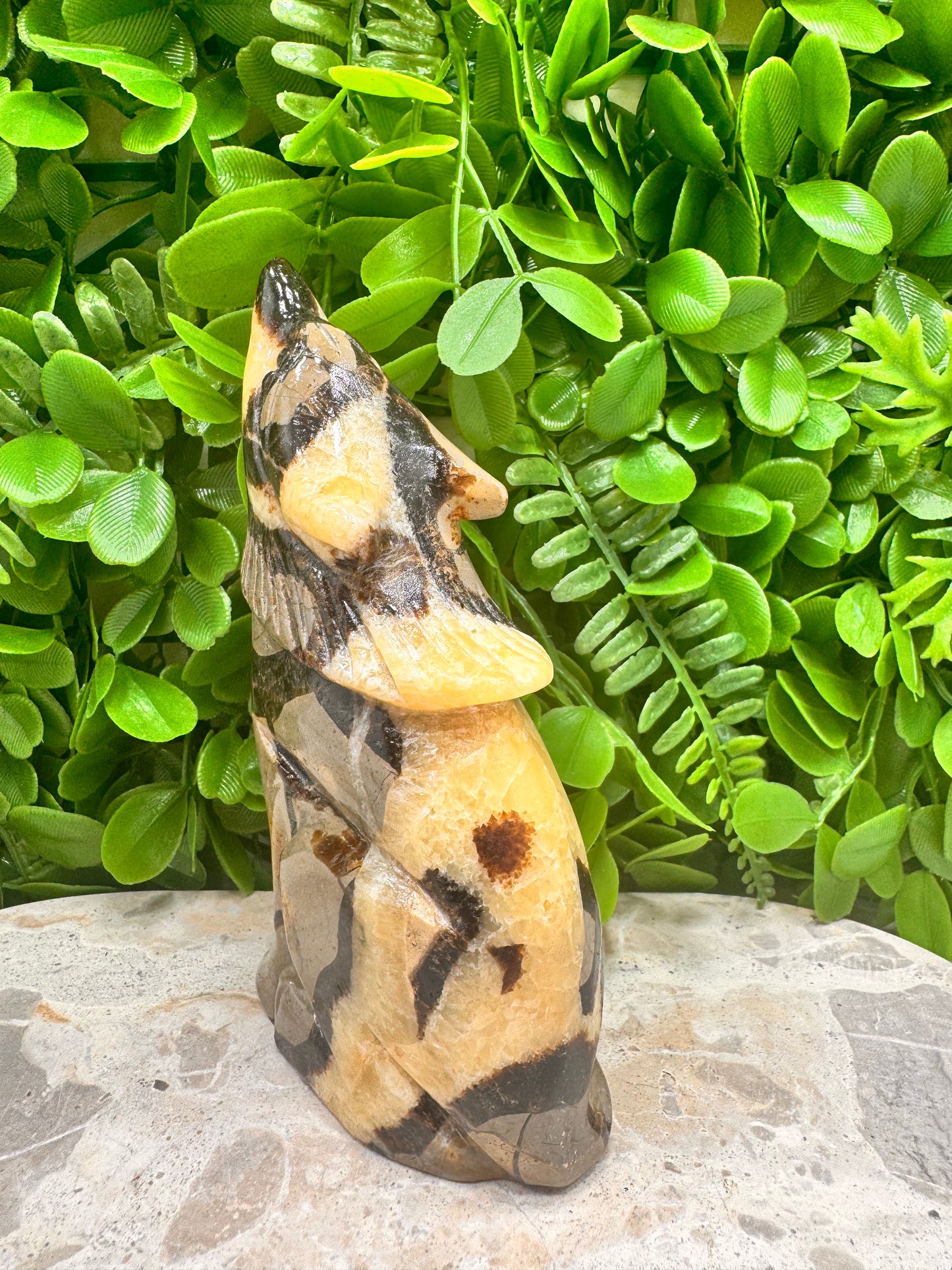 Septarian Dragon Stone 579g