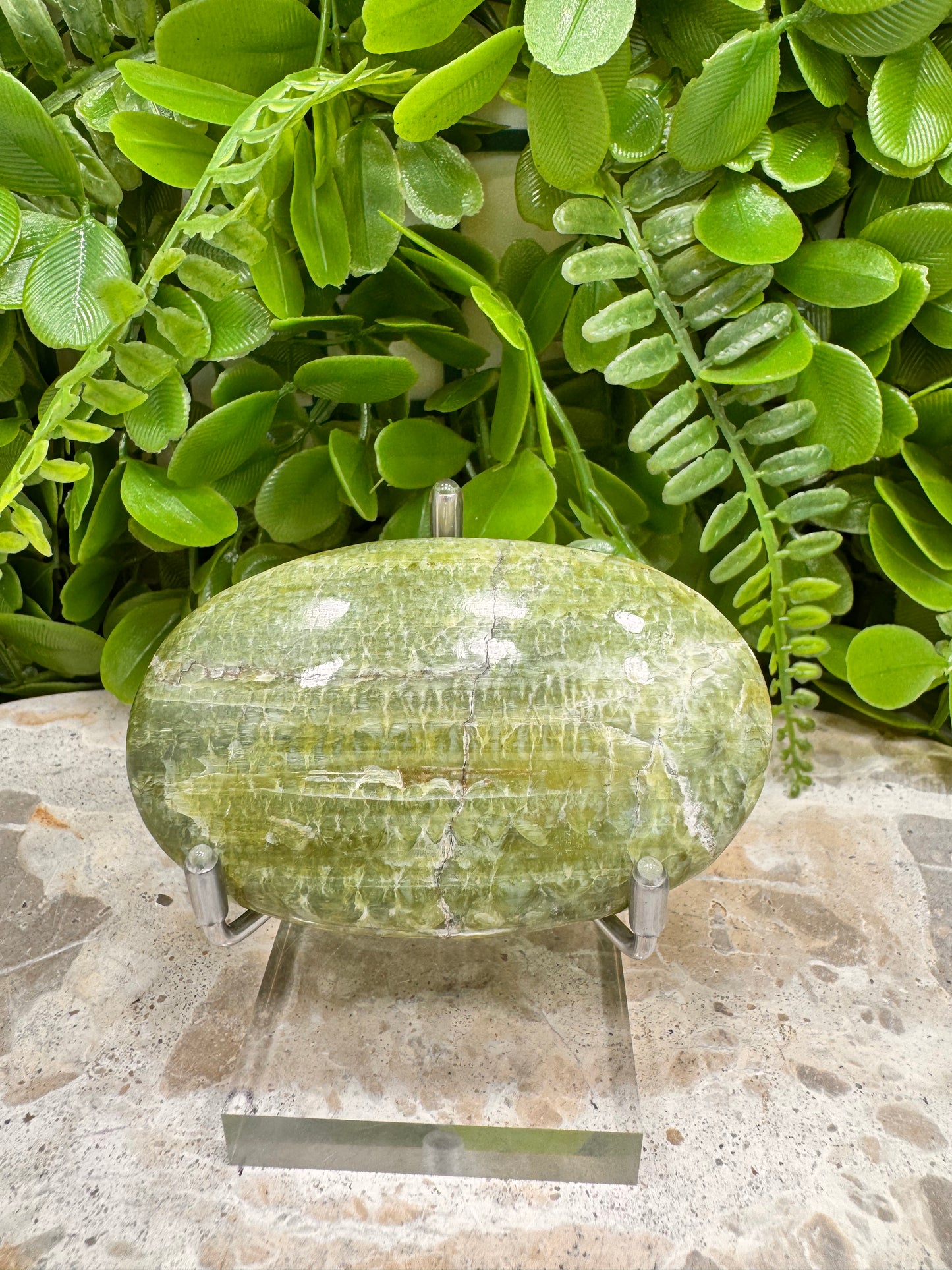 Tremolite Palm Stone 124g