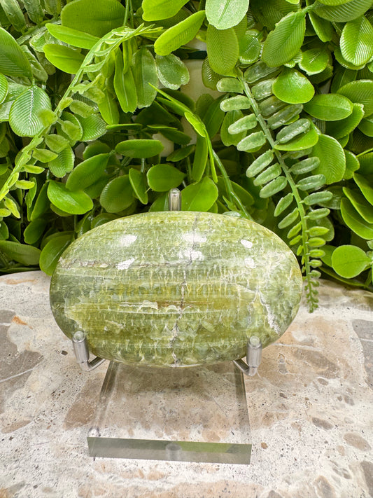 Tremolite Palm Stone 124g