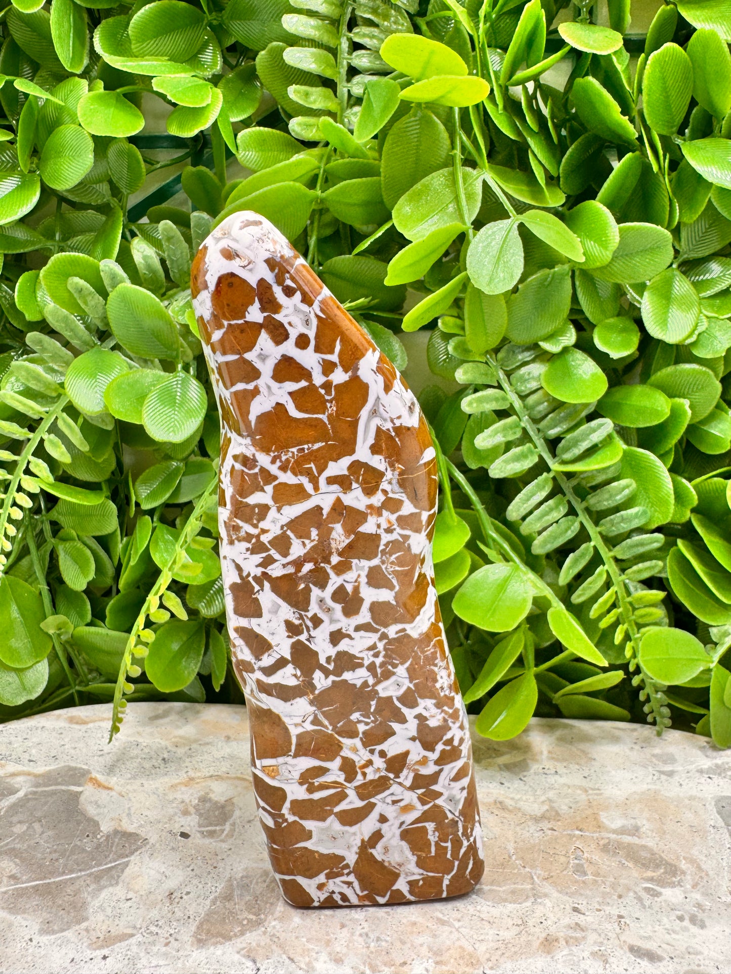 Jasper Agate Freeform 494g