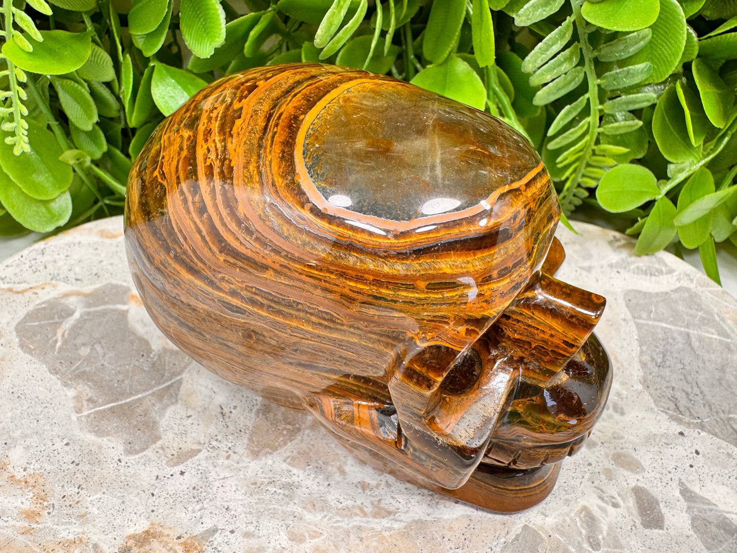 Tiger Ore Skull 1100g