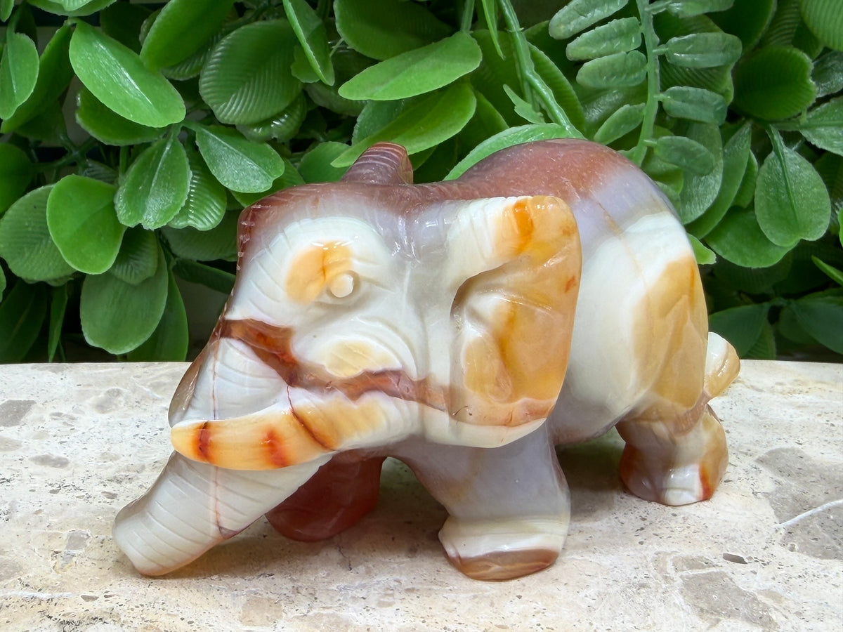 Carnelian Elephant 226g | Motivation • Confidence • Creativity