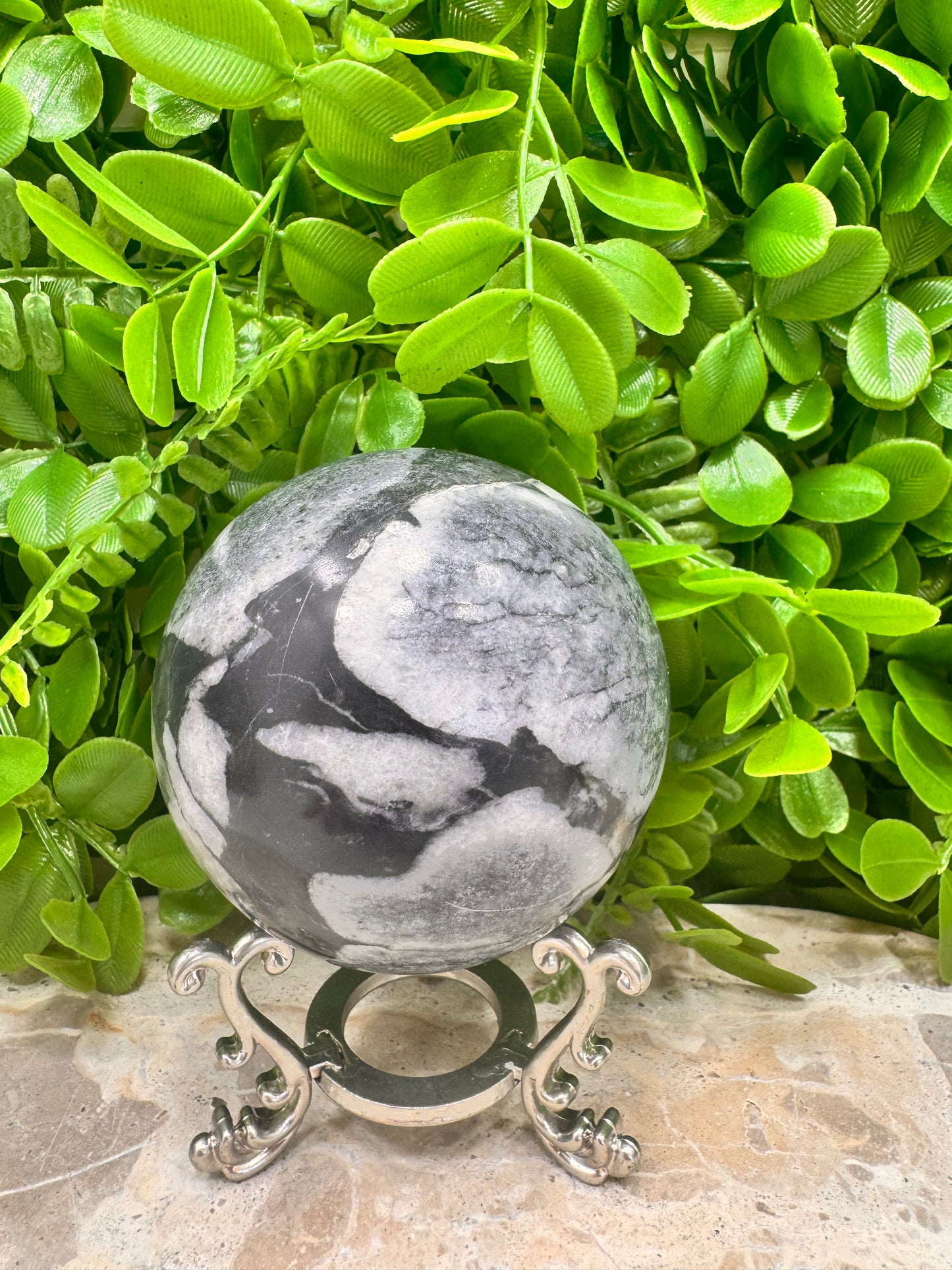 Shell Jasper Sphere 714g