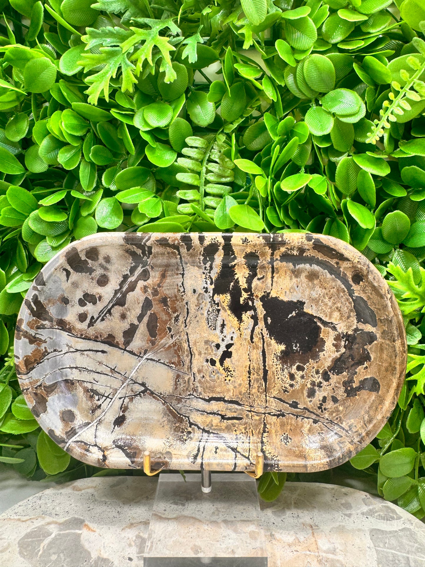 Picture Jasper Dish 504g