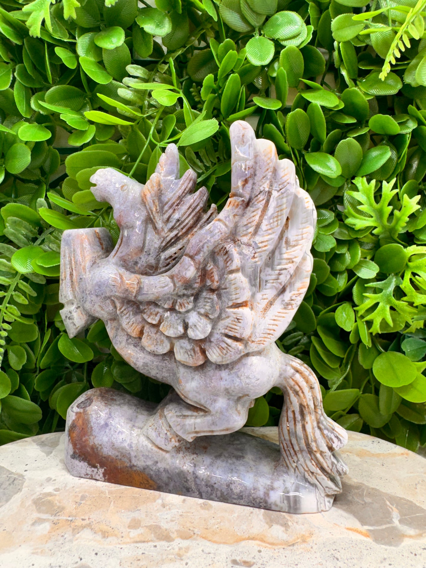 Ocean Jasper Pegasus 1012g